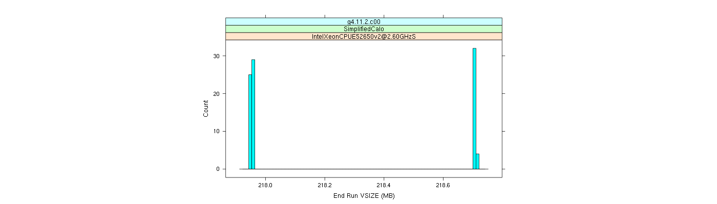 prof_memory_run_vsize_histogram.png