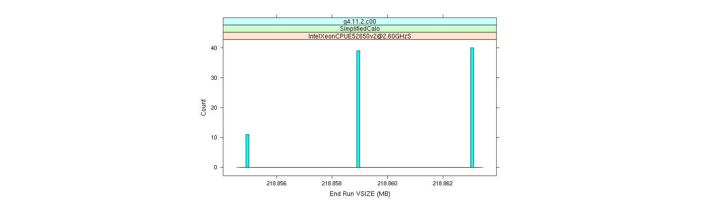 prof_memory_run_vsize_histogram.png